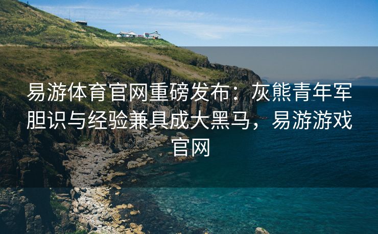 易游体育官网重磅发布：灰熊青年军胆识与经验兼具成大黑马，易游游戏官网  第2张