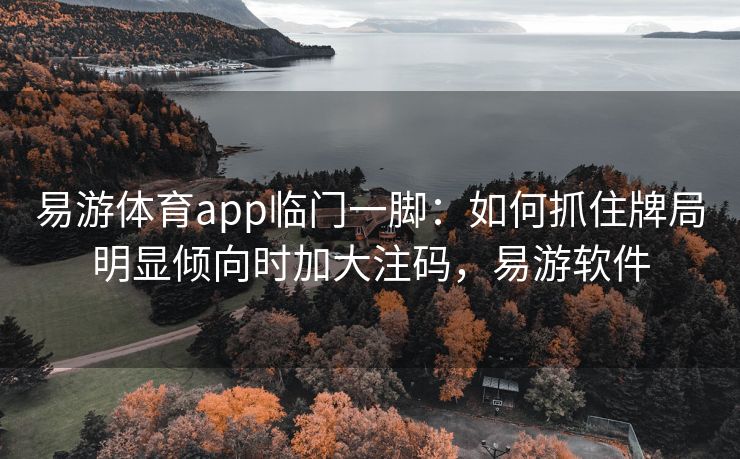 易游体育app临门一脚：如何抓住牌局明显倾向时加大注码，易游软件  第2张